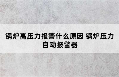 锅炉高压力报警什么原因 锅炉压力自动报警器